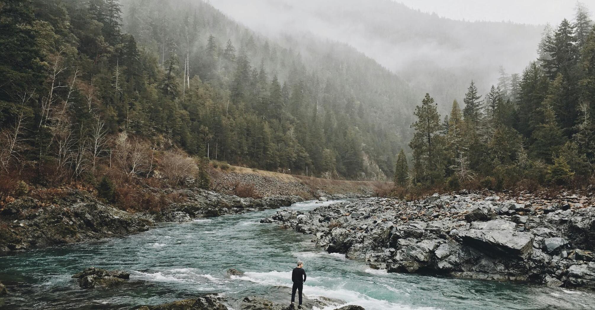 A person standing by a river in a misty forest landscape, surrounded by rocks and dense trees