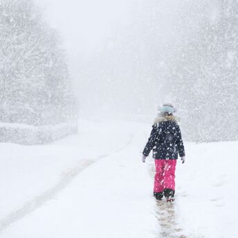Person walking alone on a snow-covered path during heavy snowfall, surrounded by winter scenery