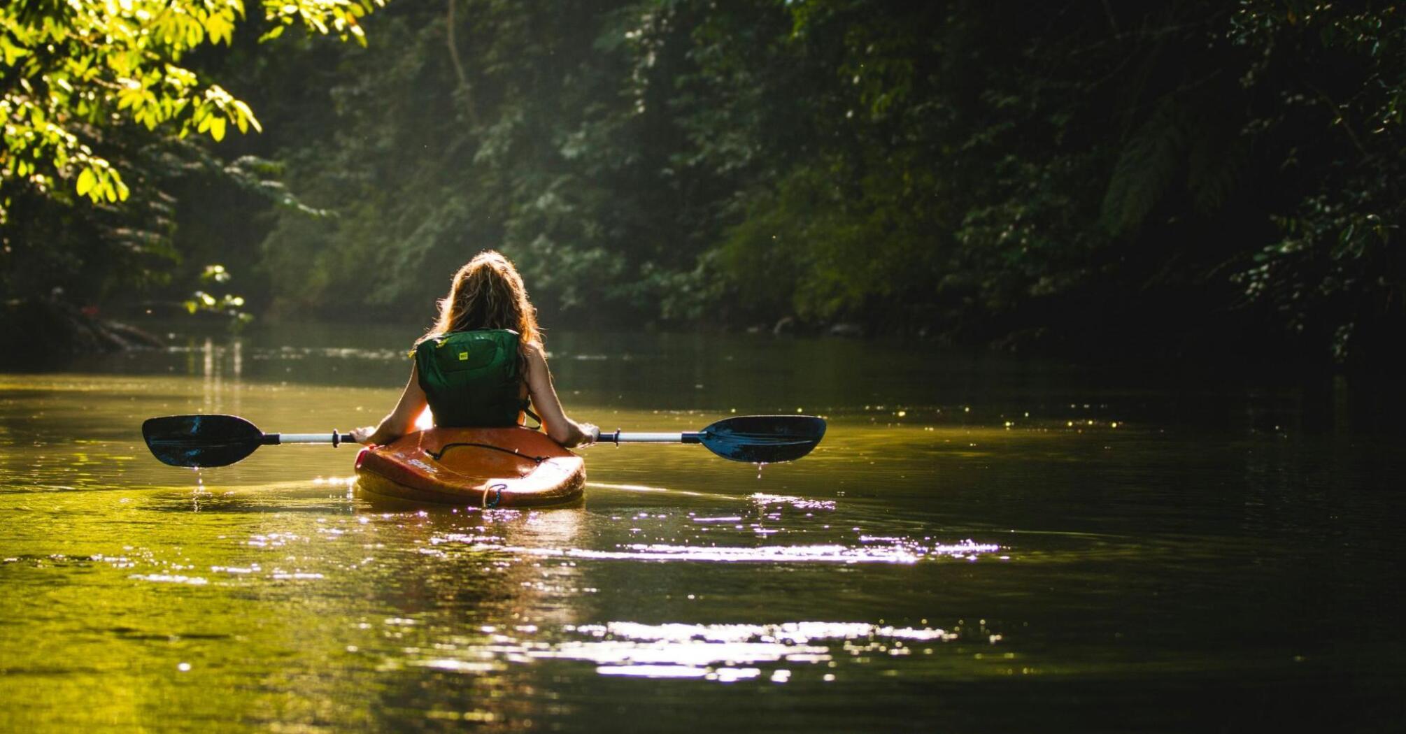 A person kayaking on a serene river surrounded by lush green forest