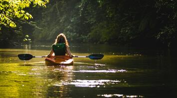A person kayaking on a serene river surrounded by lush green forest
