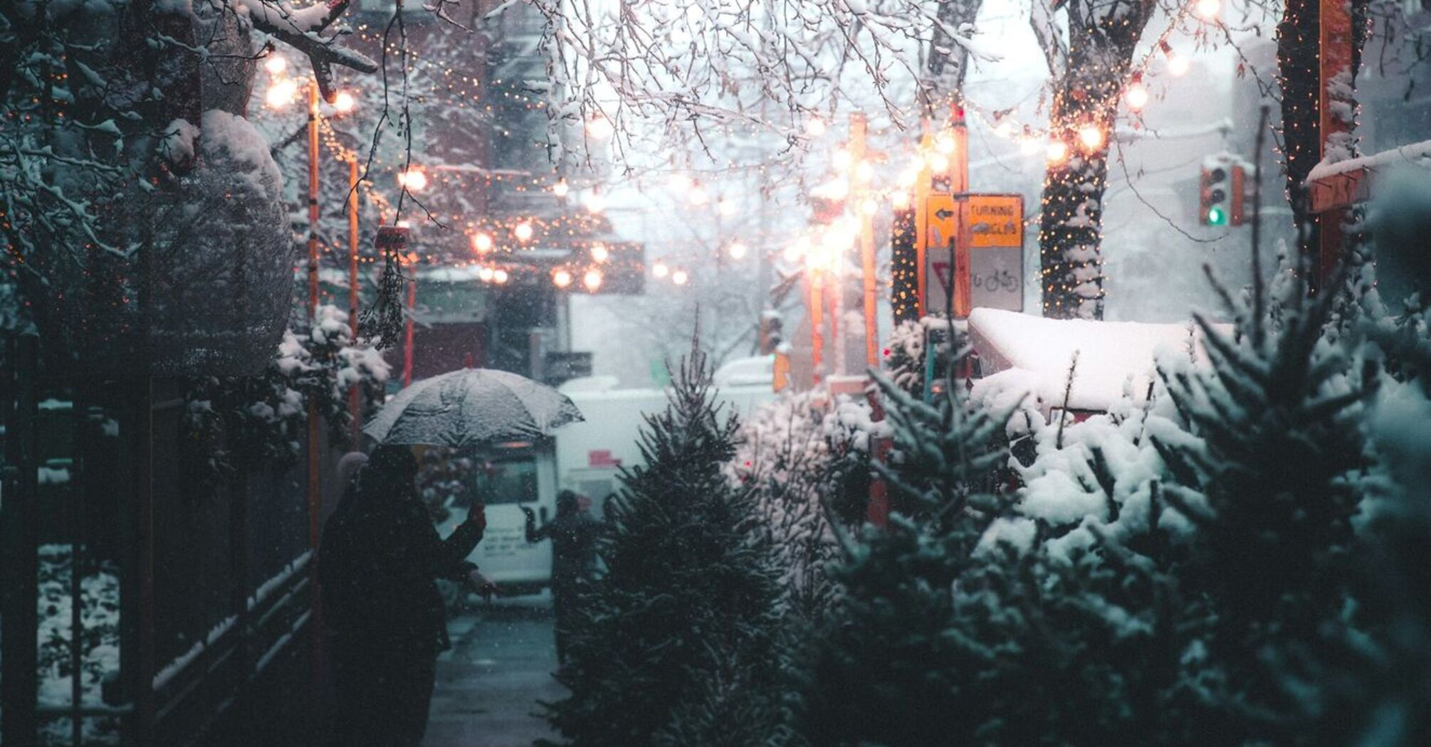 Snow-covered street with festive string lights, Christmas trees, and people holding umbrellas