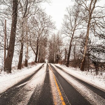 Snow-covered rural road with bare trees and a speed limit sign