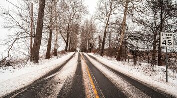 Snow-covered rural road with bare trees and a speed limit sign