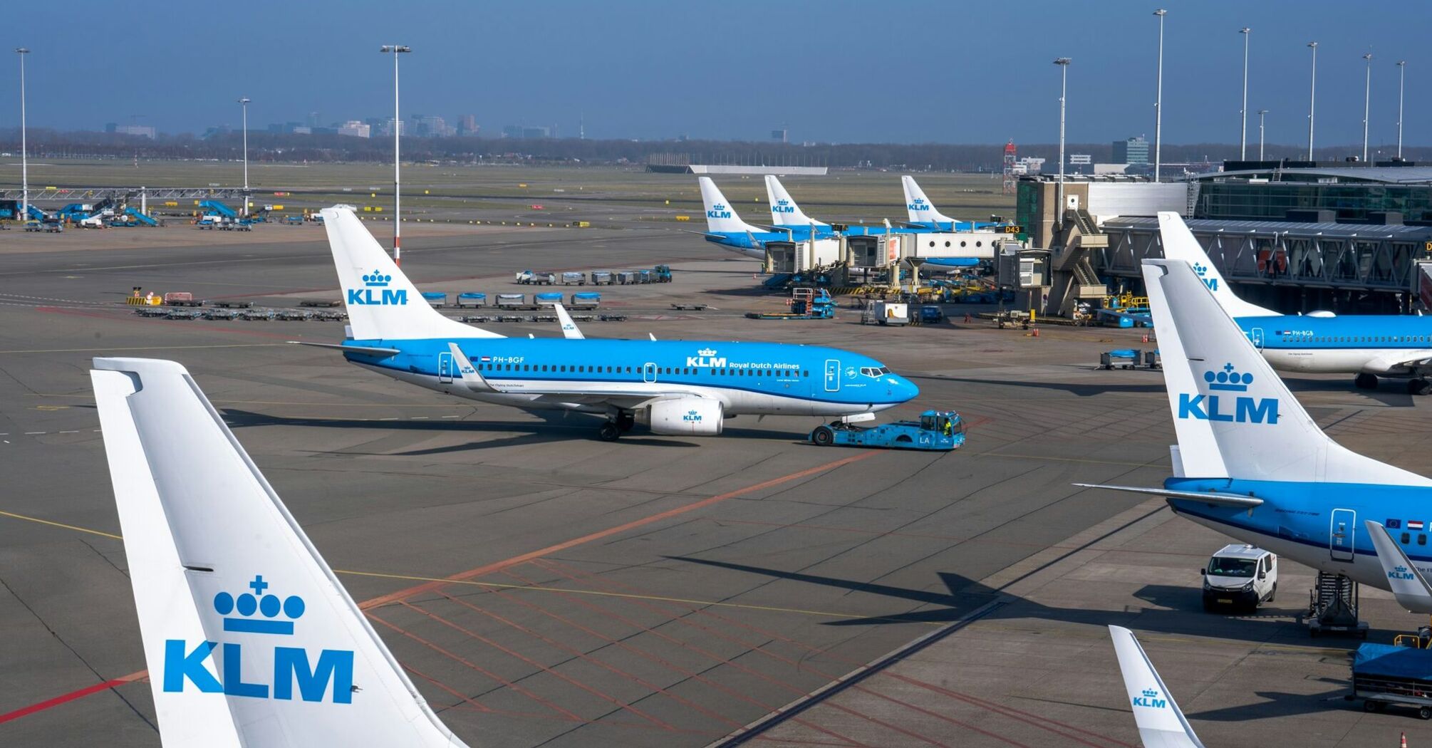 KLM planes parked at Schiphol Airport on a clear day, showing active ground operations