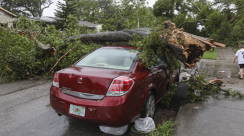 A fallen tree crushing a red car after a storm