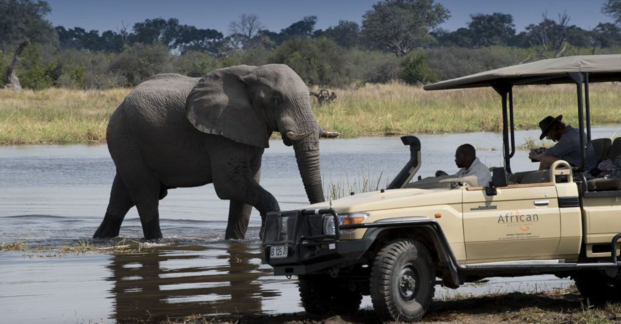 Linyanti Bush Camp: a safari in Botswana that offers an unforgettable experience