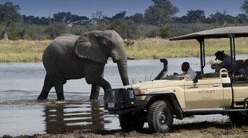 Linyanti Bush Camp: a safari in Botswana that offers an unforgettable experience