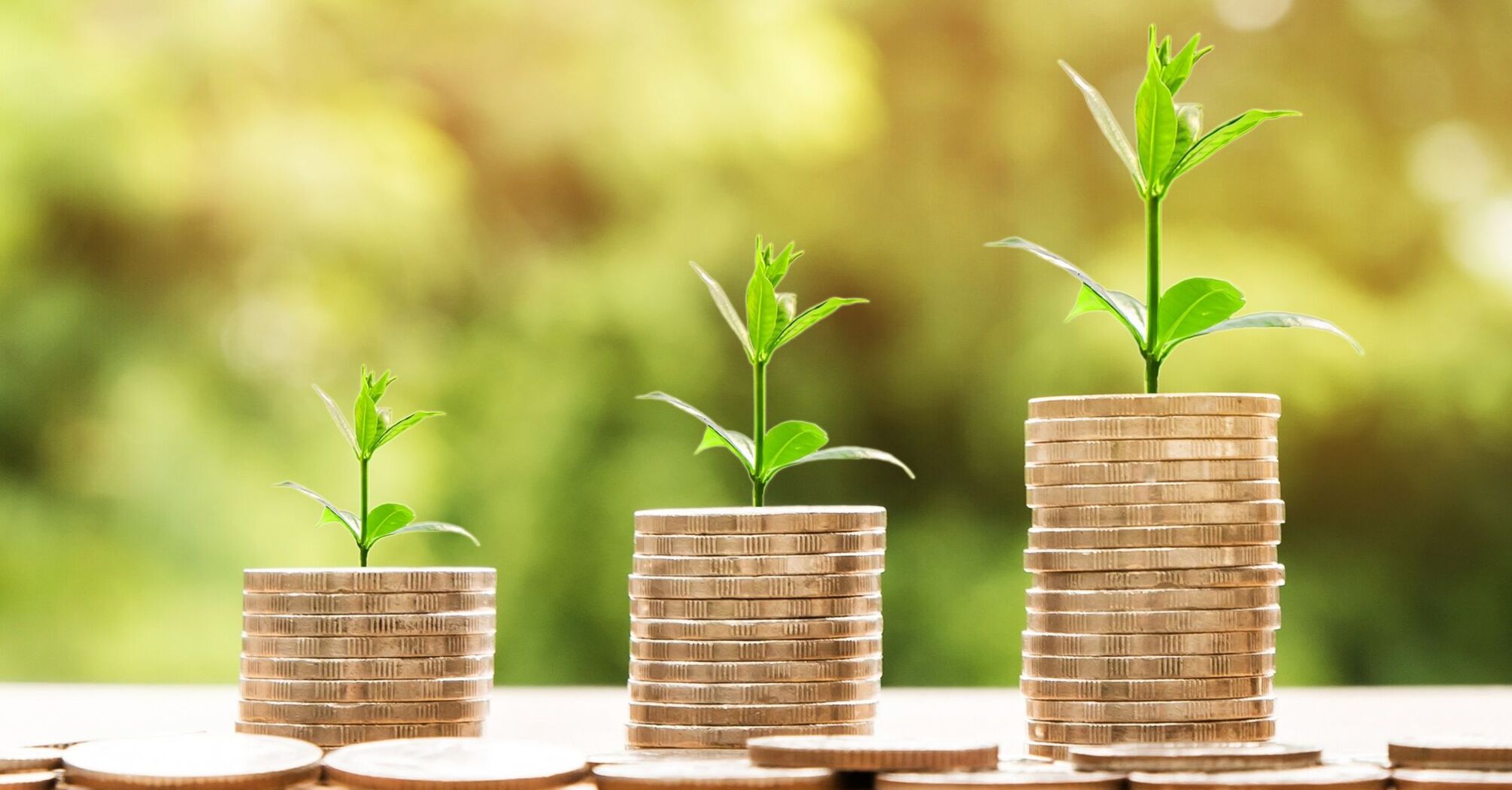 Stacks of coins with young plants sprouting on top against a blurred green background