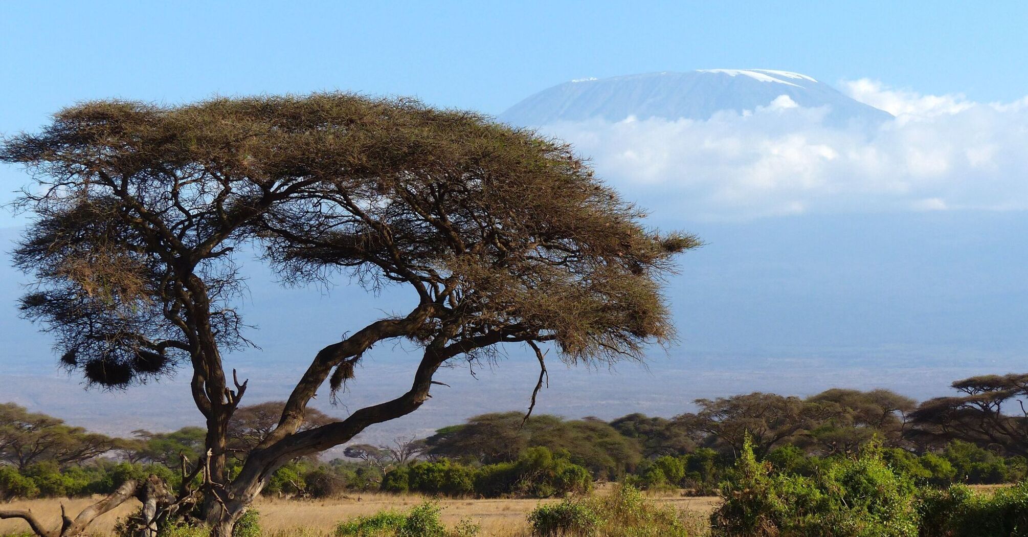 Safari in Kenya named the best tourist destination in 2024