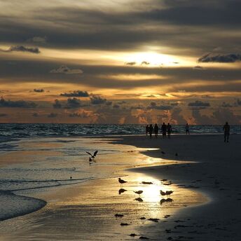 4.0 magnitude earthquake hits Florida, leaving experts surprised