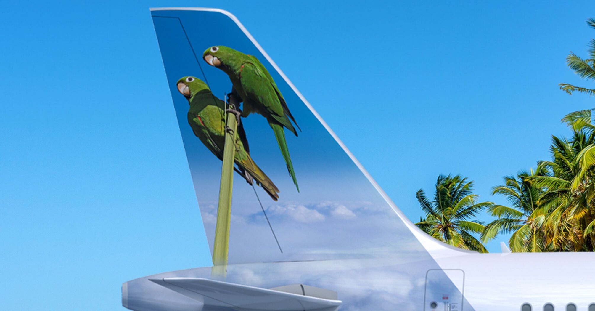 Frontier Airlines has expanded its fleet with new Airbus A321neo featuring parrots on the tail: what they signify