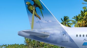 Frontier Airlines has expanded its fleet with new Airbus A321neo featuring parrots on the tail: what they signify