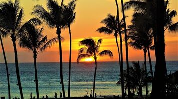 Luxury Hotels in Maui