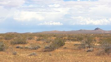 Tragedy in the Mojave Desert: a helicopter crashes, killing six people