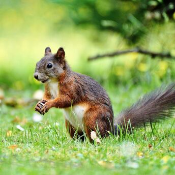 Best places for outdoor recreation: tourists can choose their favorites