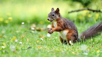 Best places for outdoor recreation: tourists can choose their favorites