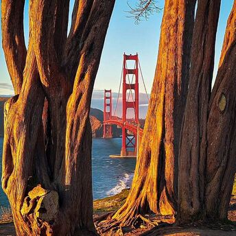 Tolls: what changes await motorists on the Golden Gate Bridge