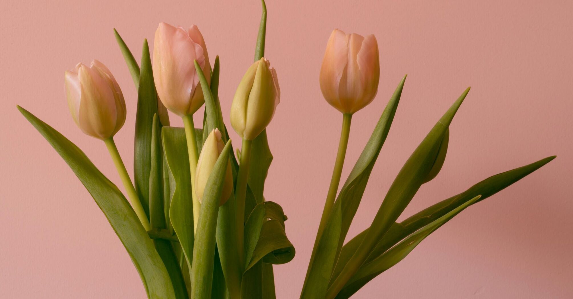 Tulips flower arrangement