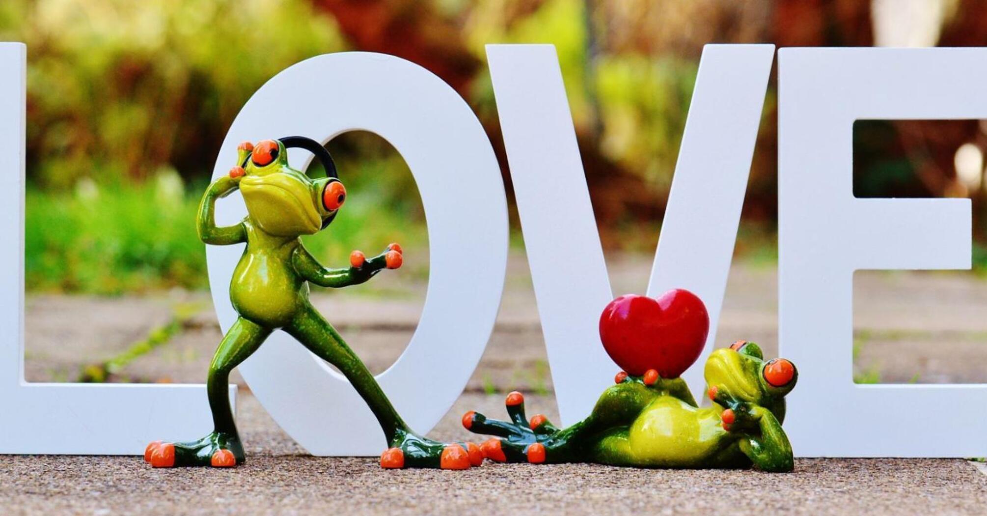 Frogs in love against the background of the inscription *love*