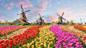 Blooming Keukenhof in the Netherlands