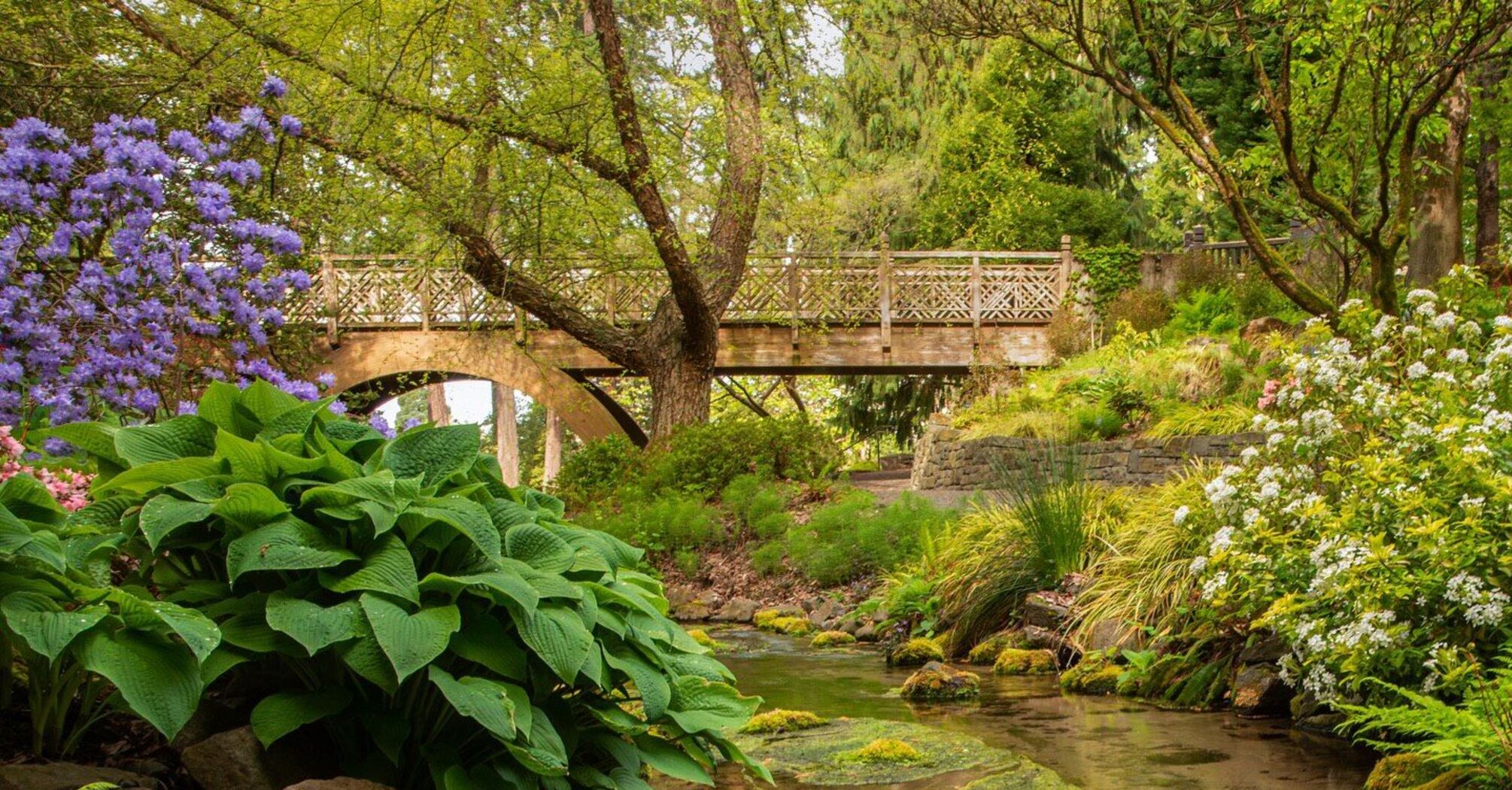 Chances of winning: Portland Botanical Garden nominated for the title of the best in the USA