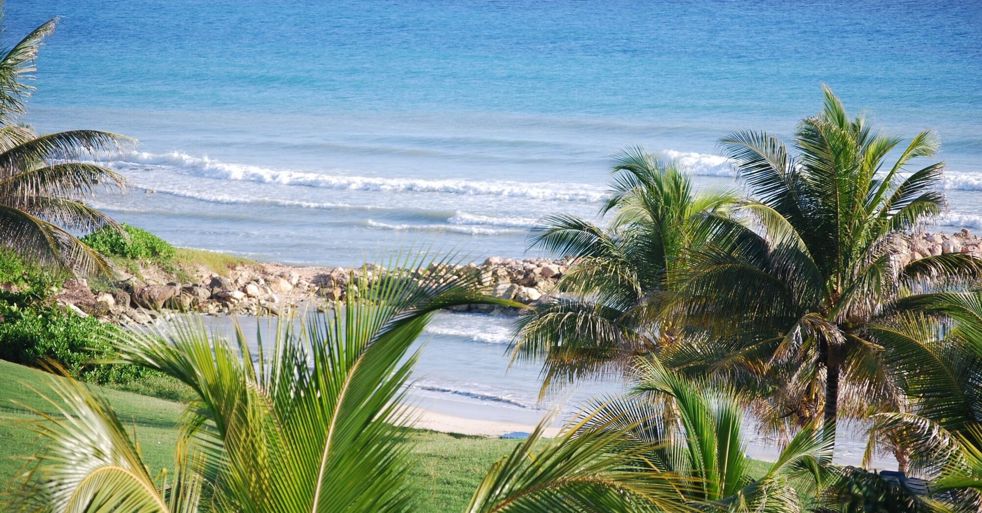 Tropical beach view in Jamaica with palm trees in the foreground and the Caribbean Sea in the background