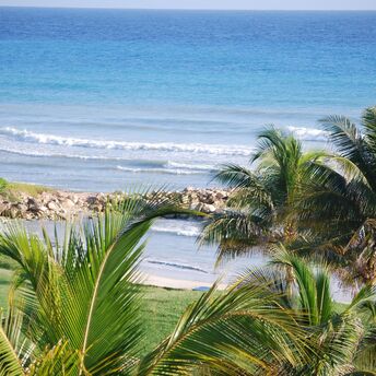 Tropical beach view in Jamaica with palm trees in the foreground and the Caribbean Sea in the background