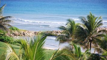 Tropical beach view in Jamaica with palm trees in the foreground and the Caribbean Sea in the background