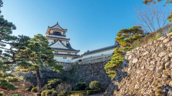 An unforgettable trip to Japan