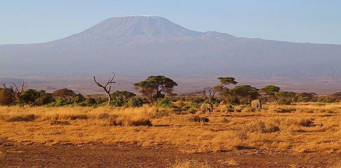 Best road trips routes in Kenya: 5 options for thrilling African vacations