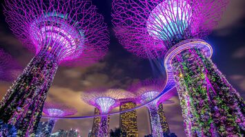 Best hotels in Singapore: where to spend a vacation, like in a movie, and revive spiritually