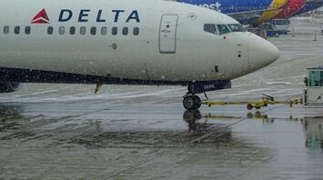 Delta flight interrupted due to larvae that fell on passengers from the luggage rack