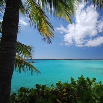 American Airlines now operates flights to the Bahamas