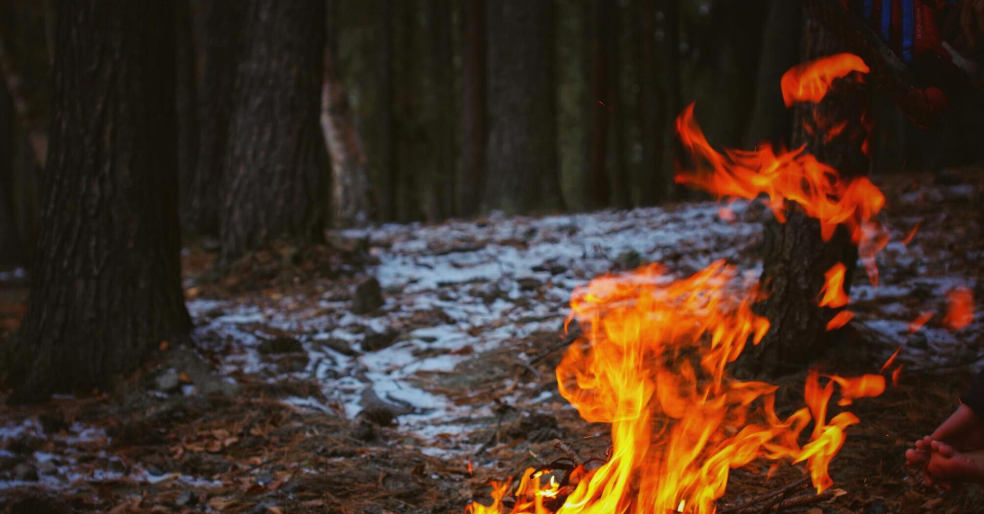 What are "zombie fires" terrorizing Canada, and why are scientists alarmed