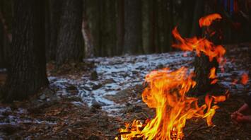 What are "zombie fires" terrorizing Canada, and why are scientists alarmed