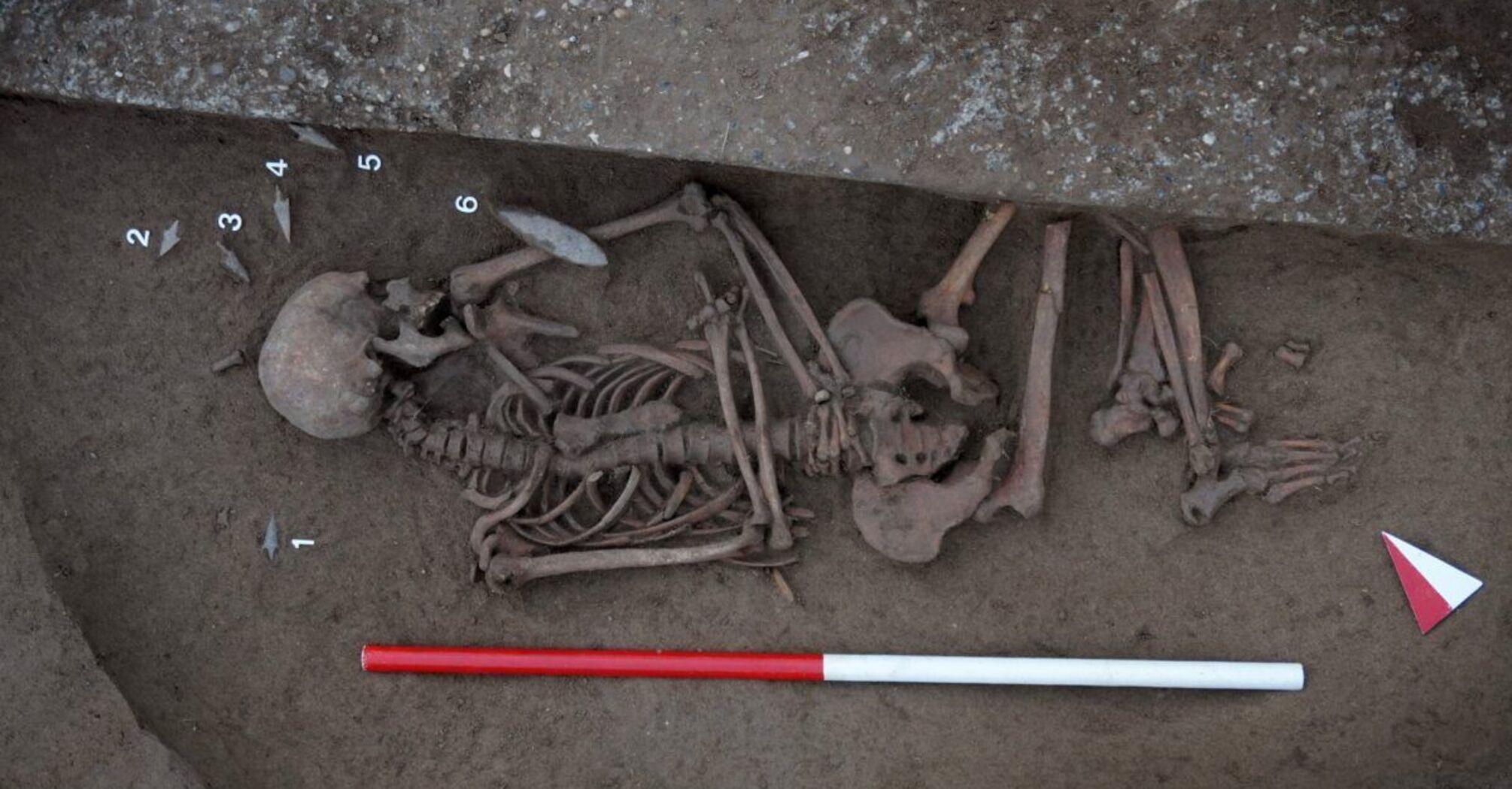 Copper Age necropolis found in Italy