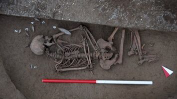 Copper Age necropolis found in Italy