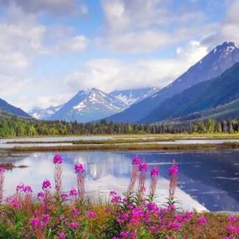 Spring vacations in Alaska