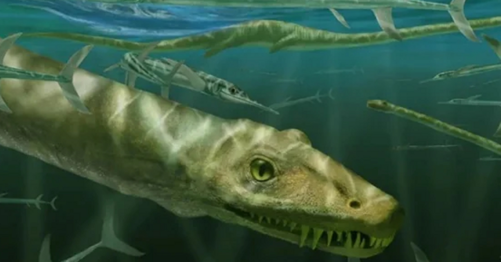 Illustrative image of a Dinocephalosaurus orientalis