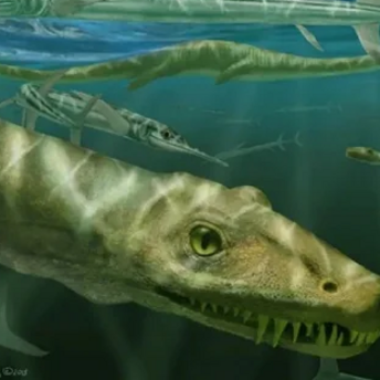 Illustrative image of a Dinocephalosaurus orientalis