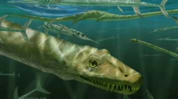 Illustrative image of a Dinocephalosaurus orientalis