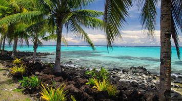 Exotic Fiji in your home: the best gifts from the ocean paradise