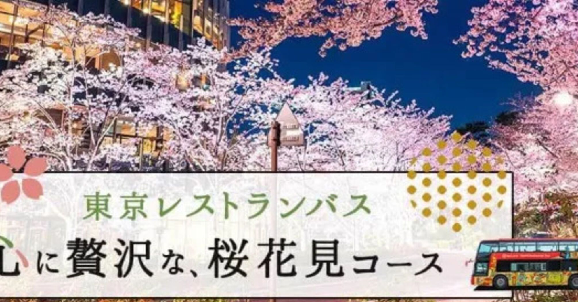 Restaurant Bus Tokyo: Enjoy the blooming sakura and exquisite cuisine