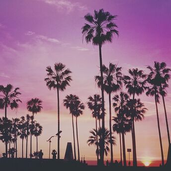 South Beach: luxury by the seaside