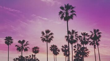 South Beach: luxury by the seaside