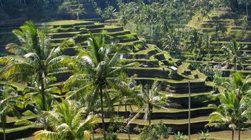 Travel to Indonesia: which city to choose and what to see