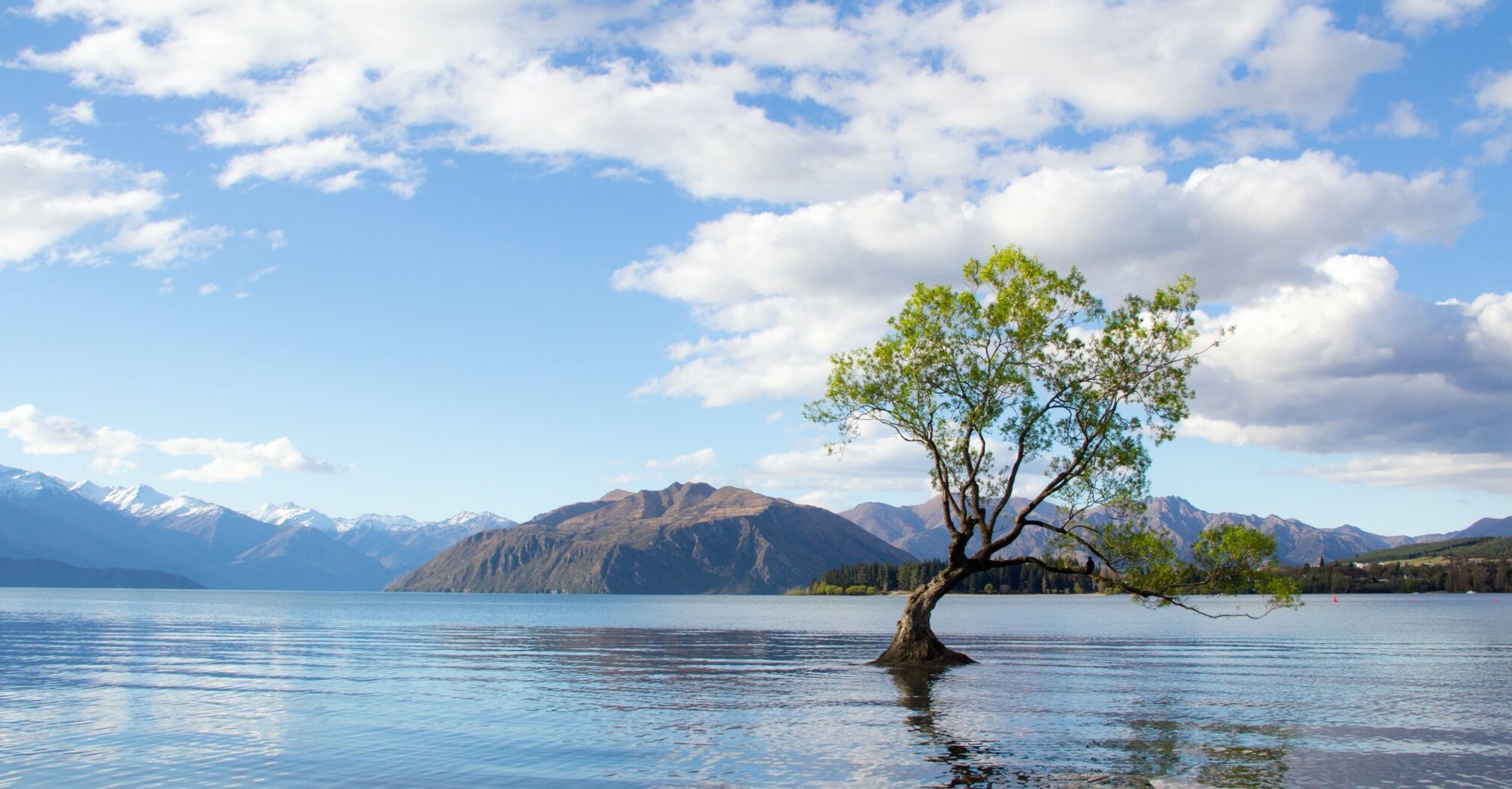 The most hospitable region of New Zealand that is in the top 10 of the Booking Traveller Review Awards 2024 is named