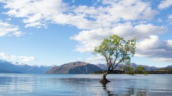 The most hospitable region of New Zealand that is in the top 10 of the Booking Traveller Review Awards 2024 is named