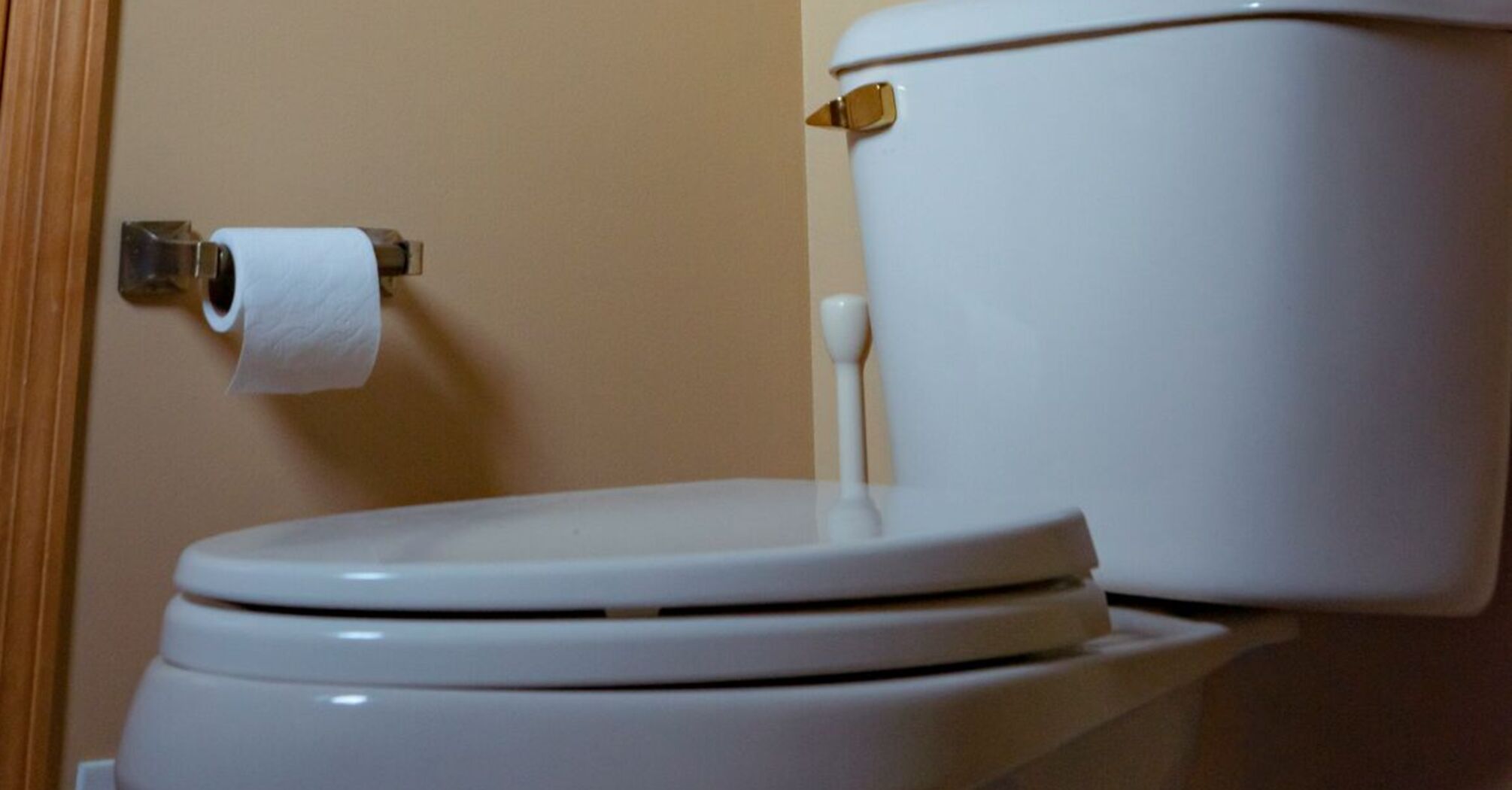 Stewardess tells what she never does in an airplane toilet