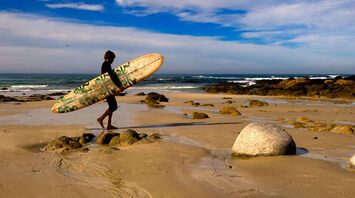 Vacationing on the California coast is inexpensive: why tourists choose Monterey